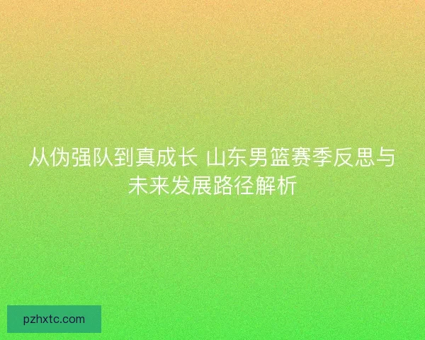 从伪强队到真成长 山东男篮赛季反思与未来发展路径解析