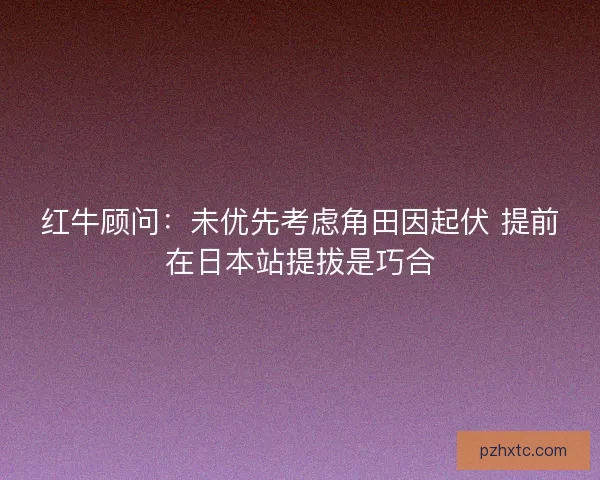 红牛顾问:未优先考虑角田因起伏 提前在日本站提拔是巧合 红牛顾问:未优先考虑角田因起伏 提前在日本站提拔是巧合