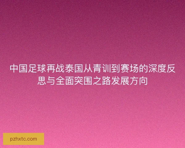 中国足球再战泰国从青训到赛场的深度反思与全面突围之路发展方向