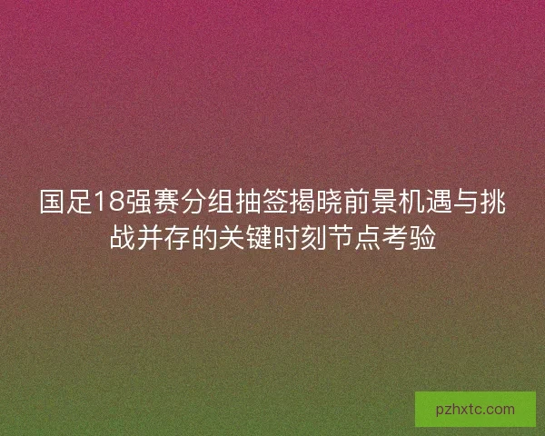 国足18强赛分组抽签揭晓前景机遇与挑战并存的关键时刻节点考验 国足18强赛分组抽签揭晓前景机遇与挑战并存的关键时刻节点考验